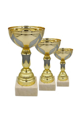 CTS 292 | SET de 3 Cupe Sportive - TrophyShop